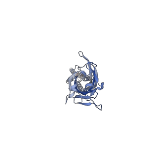 17045_8op9_B_v2-1
CryoEM structure of human rho1 GABAA receptor in complex with GABA