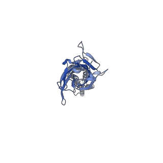 17045_8op9_D_v1-1
CryoEM structure of human rho1 GABAA receptor in complex with GABA