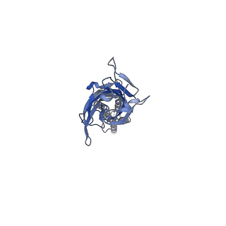 17045_8op9_D_v2-1
CryoEM structure of human rho1 GABAA receptor in complex with GABA