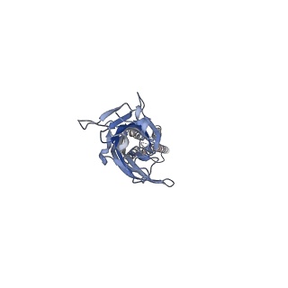 17045_8op9_E_v1-1
CryoEM structure of human rho1 GABAA receptor in complex with GABA