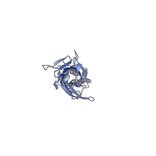 17045_8op9_E_v2-1
CryoEM structure of human rho1 GABAA receptor in complex with GABA