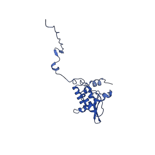 17046_8opa_Aa_v1-1
Virus-like Particle based on PVY coat protein with stacked-ring architecture