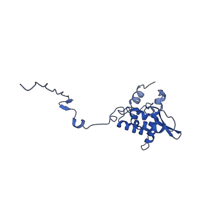 17046_8opa_Ab_v1-1
Virus-like Particle based on PVY coat protein with stacked-ring architecture