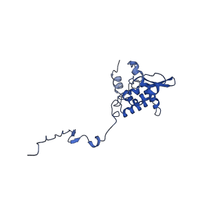 17046_8opa_Ac_v1-1
Virus-like Particle based on PVY coat protein with stacked-ring architecture