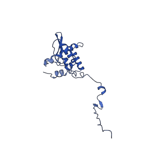 17046_8opa_Ae_v1-1
Virus-like Particle based on PVY coat protein with stacked-ring architecture