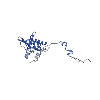 17046_8opa_Af_v1-1
Virus-like Particle based on PVY coat protein with stacked-ring architecture