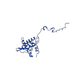 17046_8opa_Ag_v1-1
Virus-like Particle based on PVY coat protein with stacked-ring architecture
