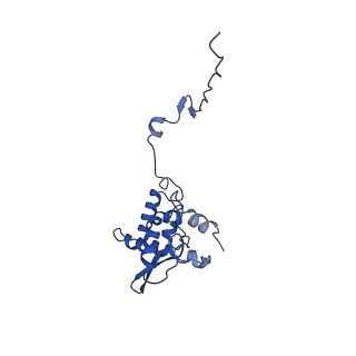 17046_8opa_Ah_v1-1
Virus-like Particle based on PVY coat protein with stacked-ring architecture