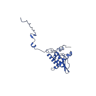 17046_8opa_Aj_v1-1
Virus-like Particle based on PVY coat protein with stacked-ring architecture