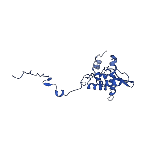 17046_8opa_Ak_v1-1
Virus-like Particle based on PVY coat protein with stacked-ring architecture