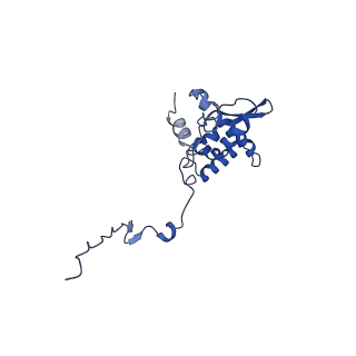 17046_8opa_Al_v1-1
Virus-like Particle based on PVY coat protein with stacked-ring architecture