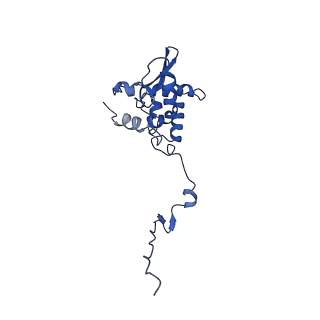 17046_8opa_Am_v1-1
Virus-like Particle based on PVY coat protein with stacked-ring architecture