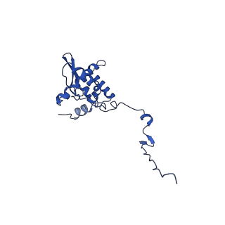 17046_8opa_An_v1-1
Virus-like Particle based on PVY coat protein with stacked-ring architecture
