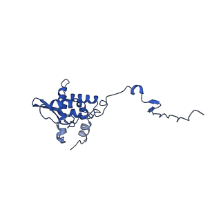 17046_8opa_Ao_v1-1
Virus-like Particle based on PVY coat protein with stacked-ring architecture