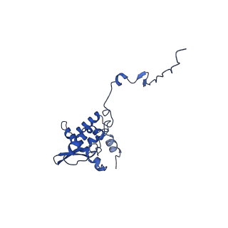 17046_8opa_Ap_v1-1
Virus-like Particle based on PVY coat protein with stacked-ring architecture