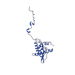 17046_8opa_Aq_v1-1
Virus-like Particle based on PVY coat protein with stacked-ring architecture