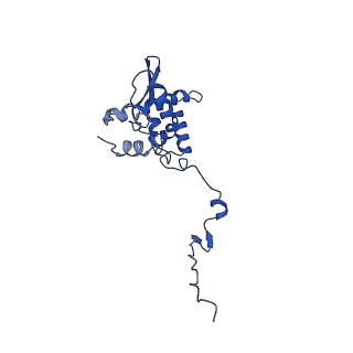 17046_8opa_Au_v1-1
Virus-like Particle based on PVY coat protein with stacked-ring architecture