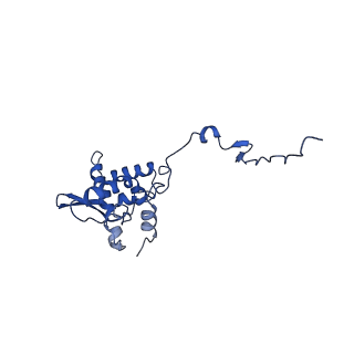 17046_8opa_Aw_v1-1
Virus-like Particle based on PVY coat protein with stacked-ring architecture