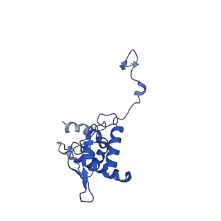 17047_8opb_Ac_v1-0
Virus-like Particle based on PVY coat protein with RNA-free helical architecture