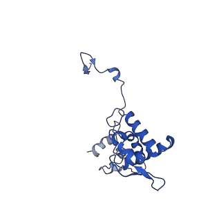 17047_8opb_Ad_v1-0
Virus-like Particle based on PVY coat protein with RNA-free helical architecture