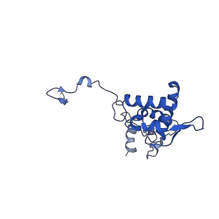 17047_8opb_Ae_v1-0
Virus-like Particle based on PVY coat protein with RNA-free helical architecture