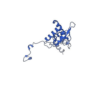 17047_8opb_Af_v1-0
Virus-like Particle based on PVY coat protein with RNA-free helical architecture