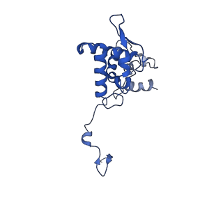 17047_8opb_Ag_v1-0
Virus-like Particle based on PVY coat protein with RNA-free helical architecture