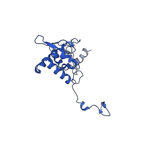 17047_8opb_Ah_v1-0
Virus-like Particle based on PVY coat protein with RNA-free helical architecture