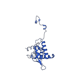 17047_8opb_Ak_v1-0
Virus-like Particle based on PVY coat protein with RNA-free helical architecture