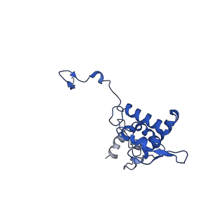 17047_8opb_Al_v1-0
Virus-like Particle based on PVY coat protein with RNA-free helical architecture