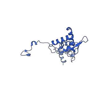 17047_8opb_Am_v1-0
Virus-like Particle based on PVY coat protein with RNA-free helical architecture