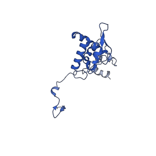 17047_8opb_An_v1-0
Virus-like Particle based on PVY coat protein with RNA-free helical architecture