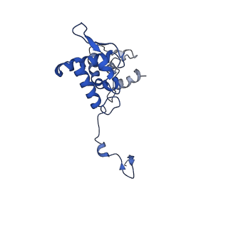 17047_8opb_Ao_v1-0
Virus-like Particle based on PVY coat protein with RNA-free helical architecture