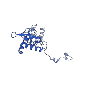 17047_8opb_Ap_v1-0
Virus-like Particle based on PVY coat protein with RNA-free helical architecture