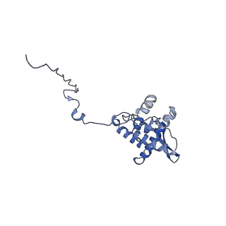 17049_8opd_Aa_v1-1
Virus-like Particle based on PVY coat protein with dC40 deletion with stacked-ring architecture