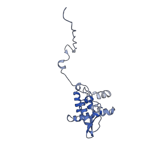 17049_8opd_Ab_v1-1
Virus-like Particle based on PVY coat protein with dC40 deletion with stacked-ring architecture