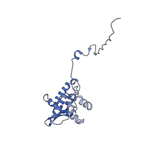 17049_8opd_Ac_v1-1
Virus-like Particle based on PVY coat protein with dC40 deletion with stacked-ring architecture