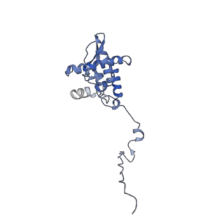 17049_8opd_Af_v1-1
Virus-like Particle based on PVY coat protein with dC40 deletion with stacked-ring architecture