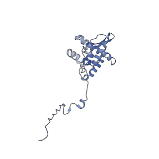17049_8opd_Ag_v1-1
Virus-like Particle based on PVY coat protein with dC40 deletion with stacked-ring architecture