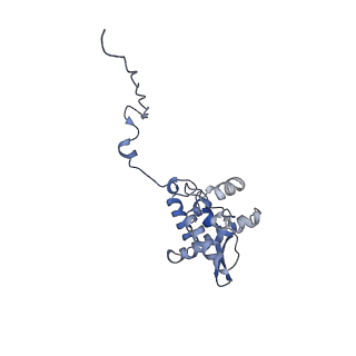 17049_8opd_Aj_v1-1
Virus-like Particle based on PVY coat protein with dC40 deletion with stacked-ring architecture