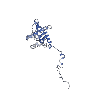 17049_8opd_An_v1-1
Virus-like Particle based on PVY coat protein with dC40 deletion with stacked-ring architecture