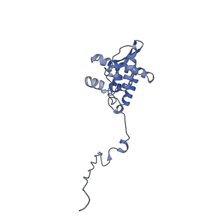 17049_8opd_Ao_v1-1
Virus-like Particle based on PVY coat protein with dC40 deletion with stacked-ring architecture