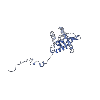 17049_8opd_Ap_v1-1
Virus-like Particle based on PVY coat protein with dC40 deletion with stacked-ring architecture