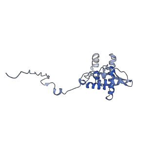 17049_8opd_Aq_v1-1
Virus-like Particle based on PVY coat protein with dC40 deletion with stacked-ring architecture