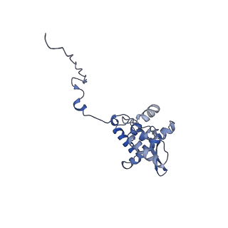 17049_8opd_Ar_v1-1
Virus-like Particle based on PVY coat protein with dC40 deletion with stacked-ring architecture