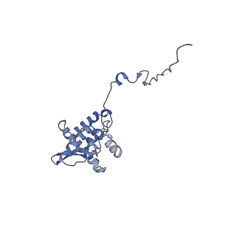17049_8opd_At_v1-1
Virus-like Particle based on PVY coat protein with dC40 deletion with stacked-ring architecture