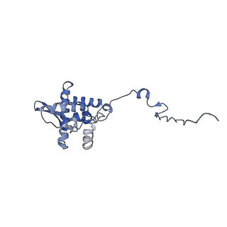 17049_8opd_Au_v1-1
Virus-like Particle based on PVY coat protein with dC40 deletion with stacked-ring architecture