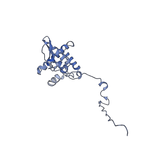 17049_8opd_Av_v1-1
Virus-like Particle based on PVY coat protein with dC40 deletion with stacked-ring architecture
