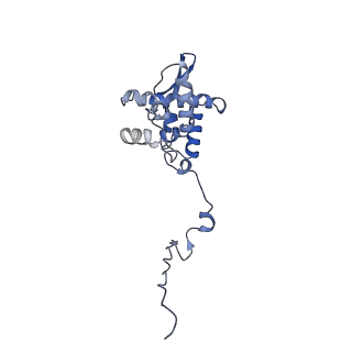 17049_8opd_Aw_v1-1
Virus-like Particle based on PVY coat protein with dC40 deletion with stacked-ring architecture