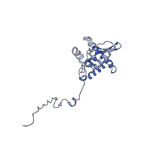 17049_8opd_Ax_v1-1
Virus-like Particle based on PVY coat protein with dC40 deletion with stacked-ring architecture